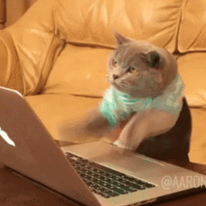 cat_typing